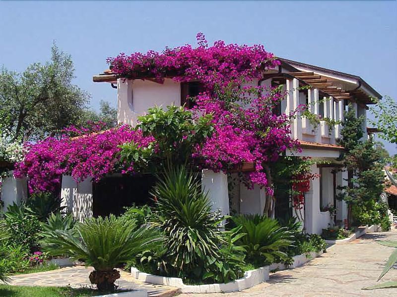 Villaggio La Pizzuta Parghelia Exteriör bild